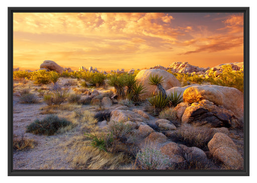 Joshua Wüste im Sonnenuntergang Schattenfugenrahmen 100x70
