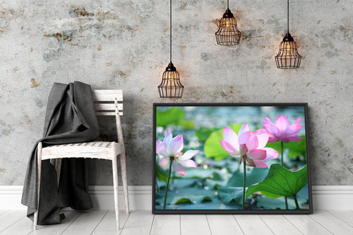 rosa Lotusblüte im Teich Schattenfugenrahmen Wohnzimmer