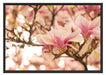 Rosa Magnolienblüten im Frühling Schattenfugenrahmen 100x70