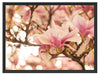 Rosa Magnolienblüten im Frühling Schattenfugenrahmen 80x60