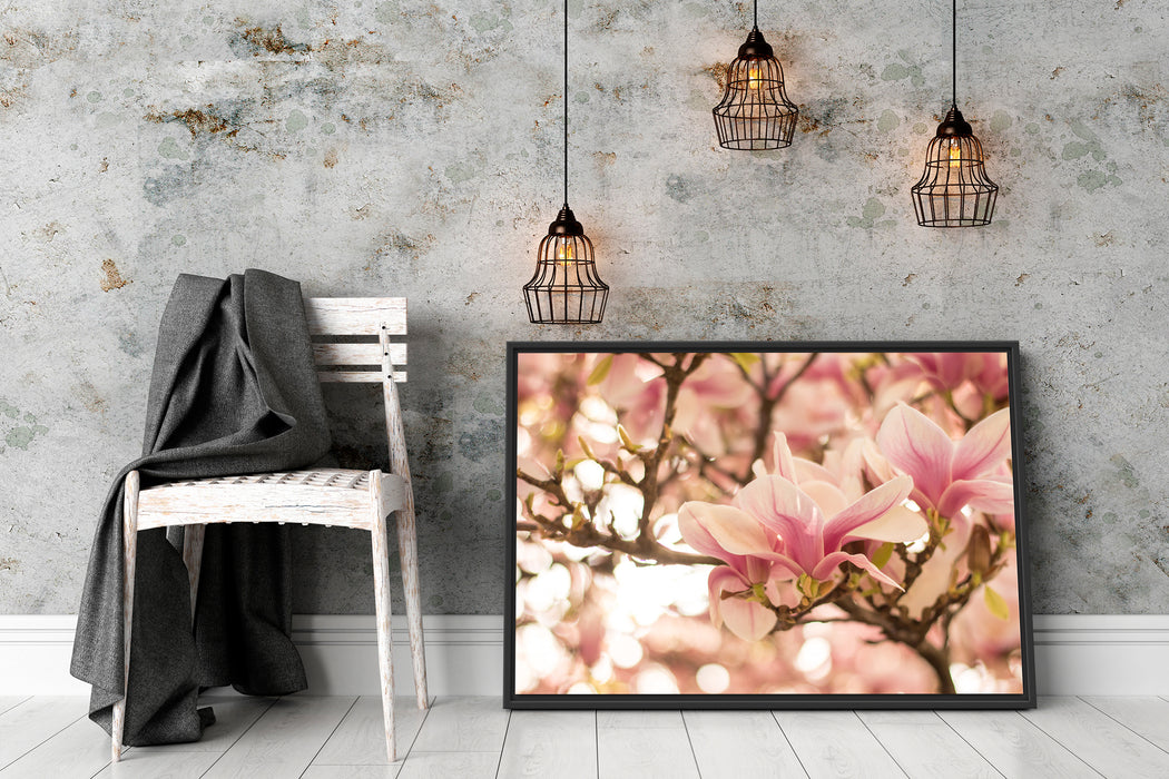 Rosa Magnolienblüten im Frühling Schattenfugenrahmen Wohnzimmer