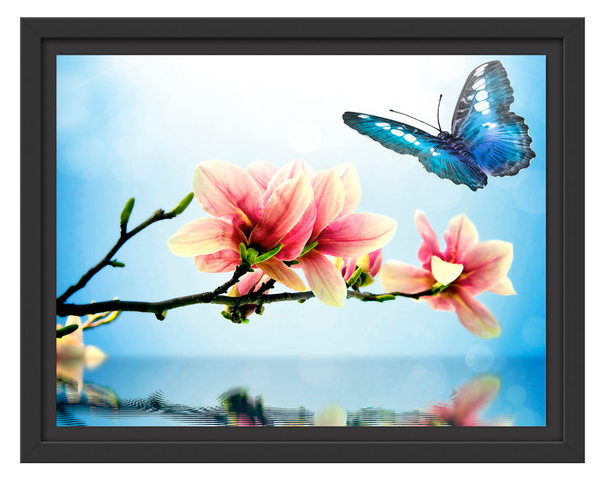 Schmetterling mit Magnolien-Blüte Schattenfugenrahmen 38x30