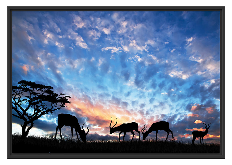 Pixxprint Tiere in der Natur am Abend, im Schwebe-Effekt Bilderrahmen