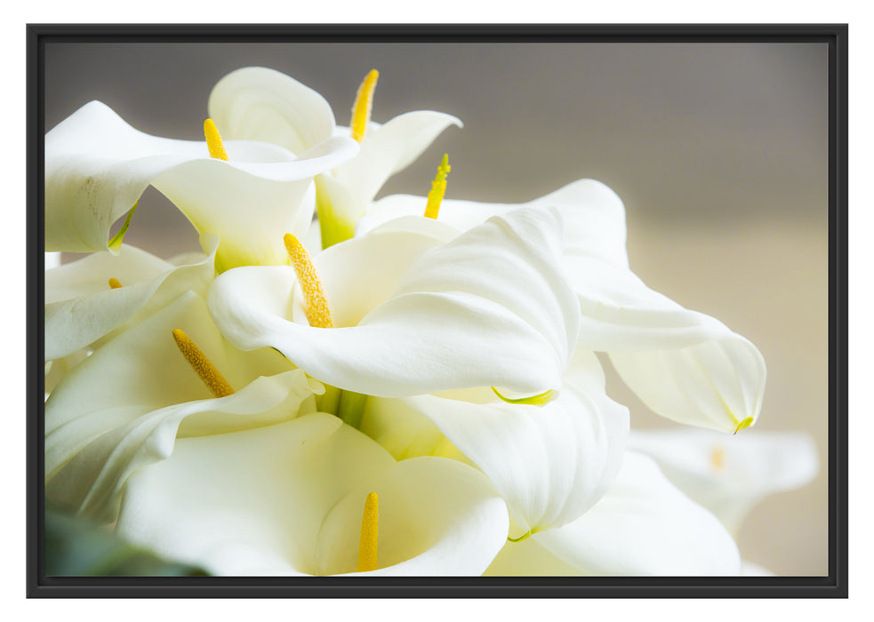 Pixxprint Wunderschöne weiße Calla Lilien, im Schwebe-Effekt Bilderrahmen