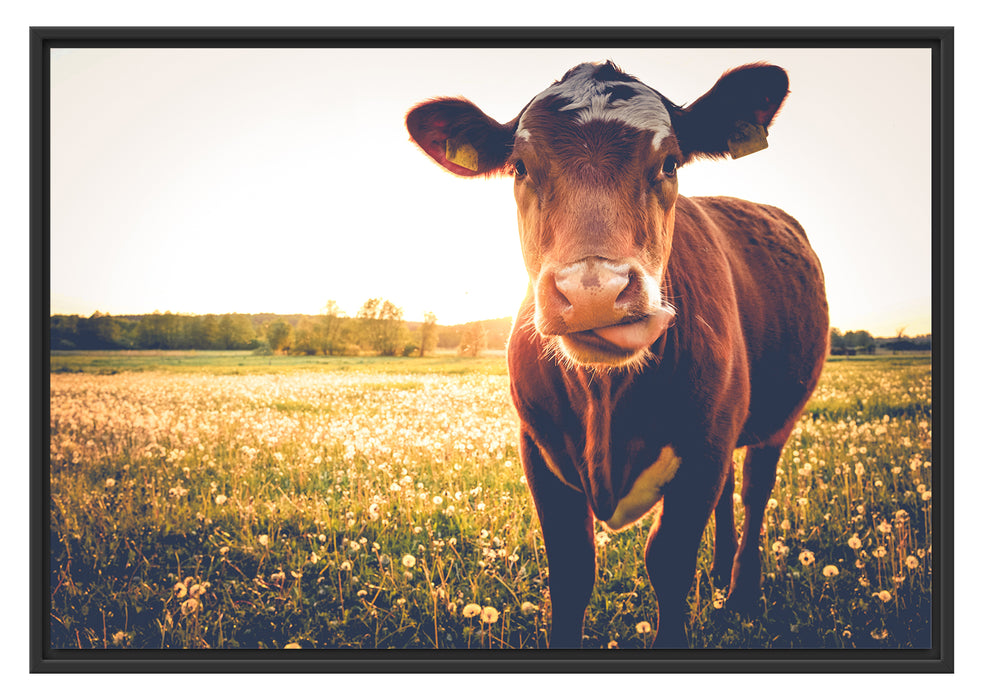 Pixxprint Kuh auf Blumenwiese, im Schwebe-Effekt Bilderrahmen