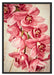 Rosane Orchideenblüten Schattenfugenrahmen 100x70