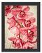 Rosane Orchideenblüten Schattenfugenrahmen 38x30