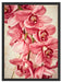 Rosane Orchideenblüten Schattenfugenrahmen 80x60