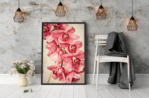 Rosane Orchideenblüten Schattenfugenrahmen Wohnzimmer