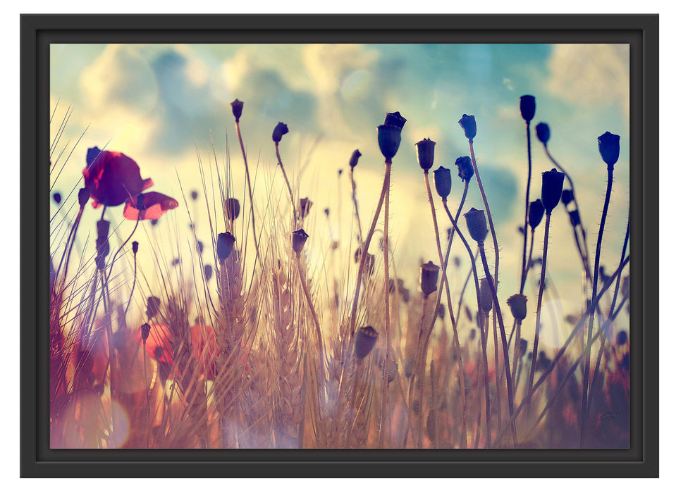 Mohn im Weizenfeld Schattenfugenrahmen 55x40