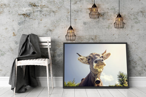 Lustiges Portrait einer Kuh Schattenfugenrahmen Wohnzimmer