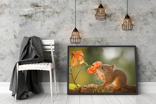 Eichhörnchen riecht an einer Blume Schattenfugenrahmen Wohnzimmer