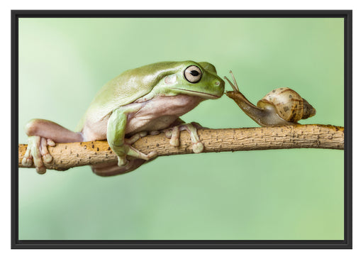 der Frosch und die Schnecke Schattenfugenrahmen 100x70