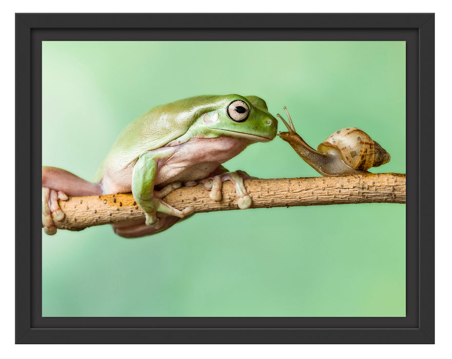 der Frosch und die Schnecke Schattenfugenrahmen 38x30