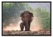 Elefantenbaby mit Mutter Schattenfugenrahmen 100x70