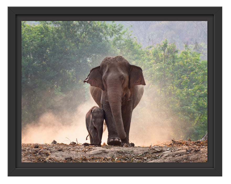 Elefantenbaby mit Mutter Schattenfugenrahmen 38x30