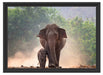 Elefantenbaby mit Mutter Schattenfugenrahmen 55x40