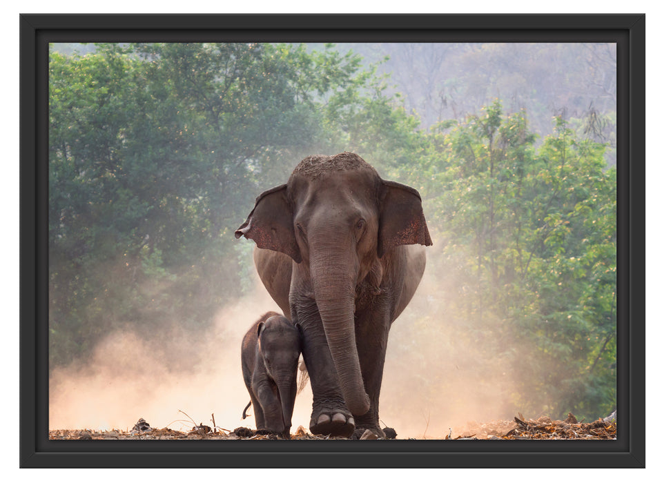 Elefantenbaby mit Mutter Schattenfugenrahmen 55x40