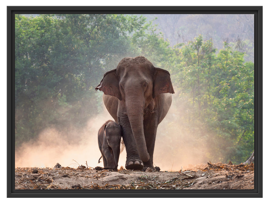 Elefantenbaby mit Mutter Schattenfugenrahmen 80x60