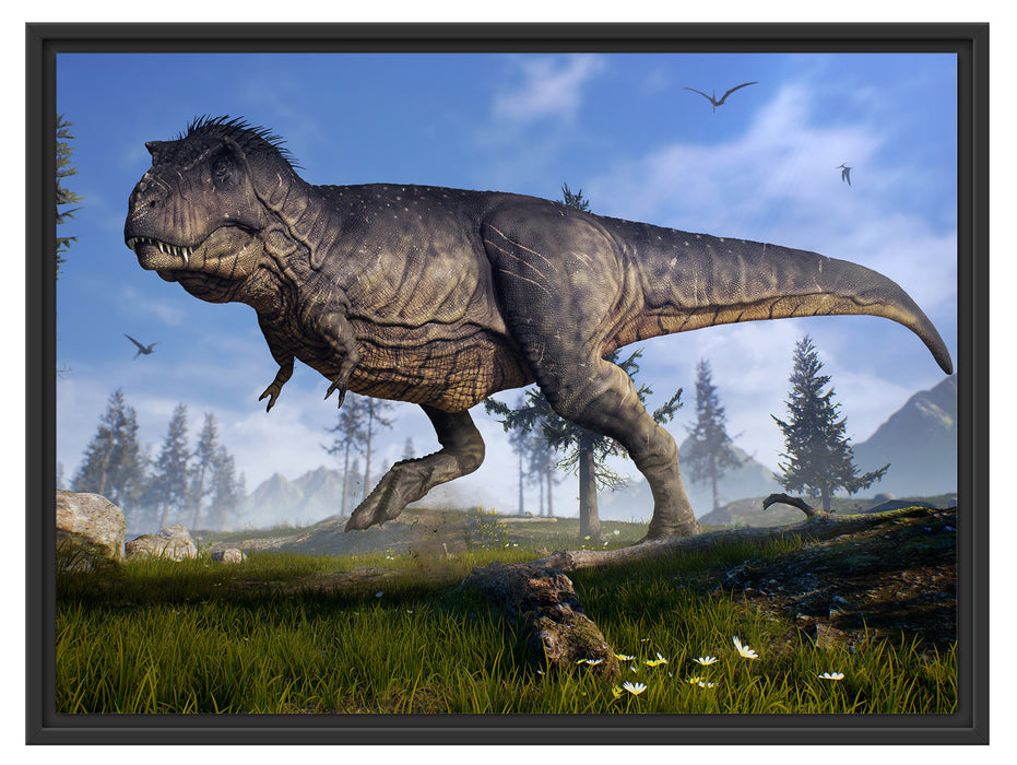 T-Rex Dinosaurier in der Natur Schattenfugenrahmen 80x60