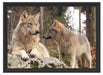 Wölfe im Wald Schattenfugenrahmen 55x40