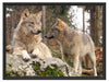 Wölfe im Wald Schattenfugenrahmen 80x60