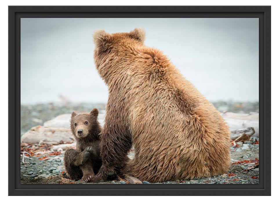 Bär mit Baby nach dem Baden Schattenfugenrahmen 55x40