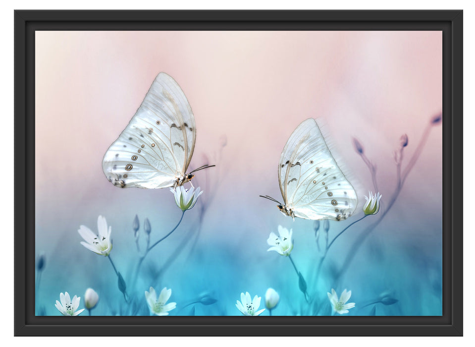 Schmetterling auf kleinen Blumen Schattenfugenrahmen 55x40