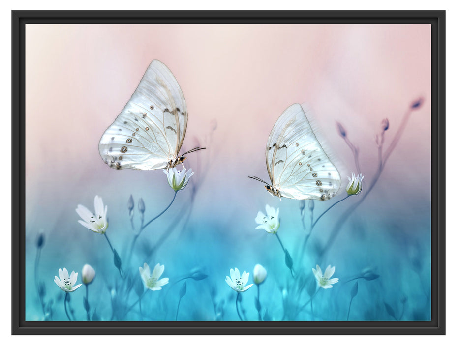 Schmetterling auf kleinen Blumen Schattenfugenrahmen 80x60