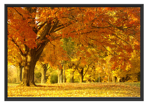 schöne Herbstlandschaft Schattenfugenrahmen 100x70