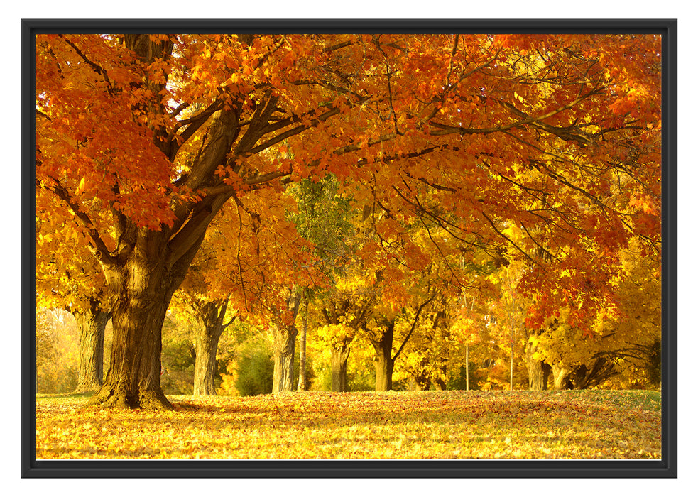 Pixxprint schöne Herbstlandschaft, im Schwebe-Effekt Bilderrahmen