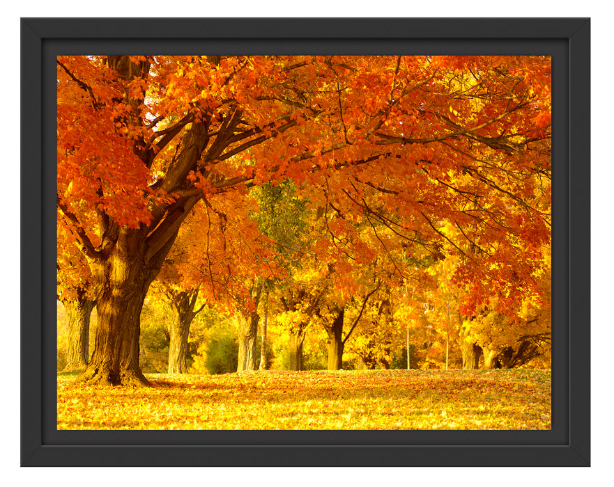 schöne Herbstlandschaft Schattenfugenrahmen 38x30