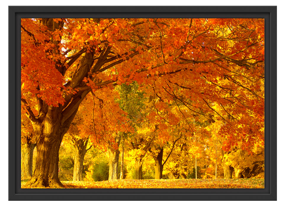 schöne Herbstlandschaft Schattenfugenrahmen 55x40