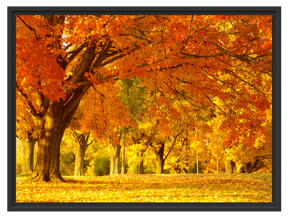 schöne Herbstlandschaft Schattenfugenrahmen 80x60