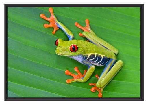 kleiner grüner Frosch auf Blatt Schattenfugenrahmen 100x70