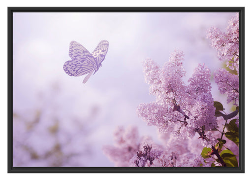 Schmetterling Kirschblüten Schattenfugenrahmen 100x70