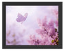 Schmetterling Kirschblüten Schattenfugenrahmen 38x30