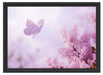 Schmetterling Kirschblüten Schattenfugenrahmen 55x40