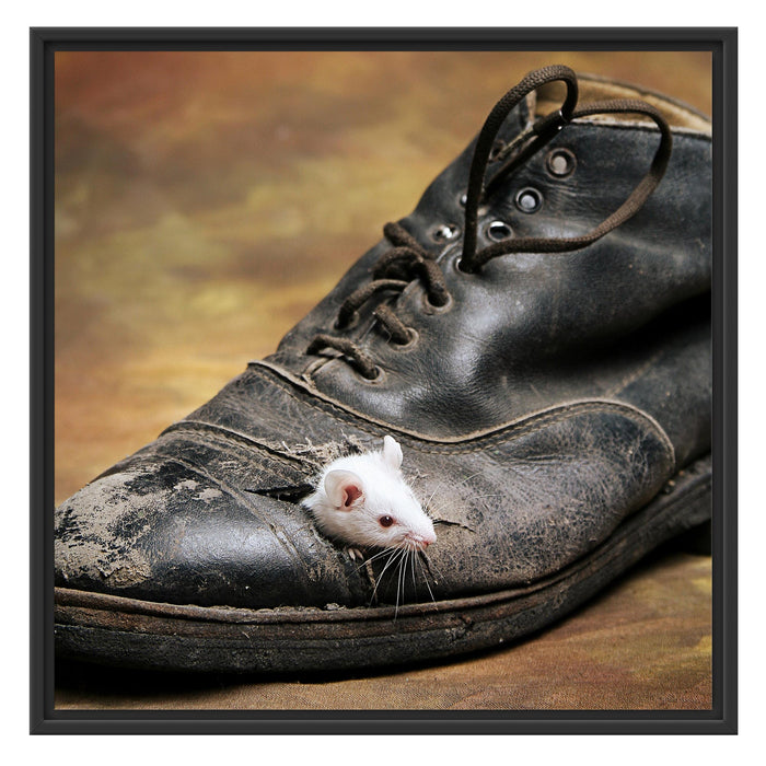 Maus in schwarzem Schuh Schattenfugenrahmen Quadratisch 70x70