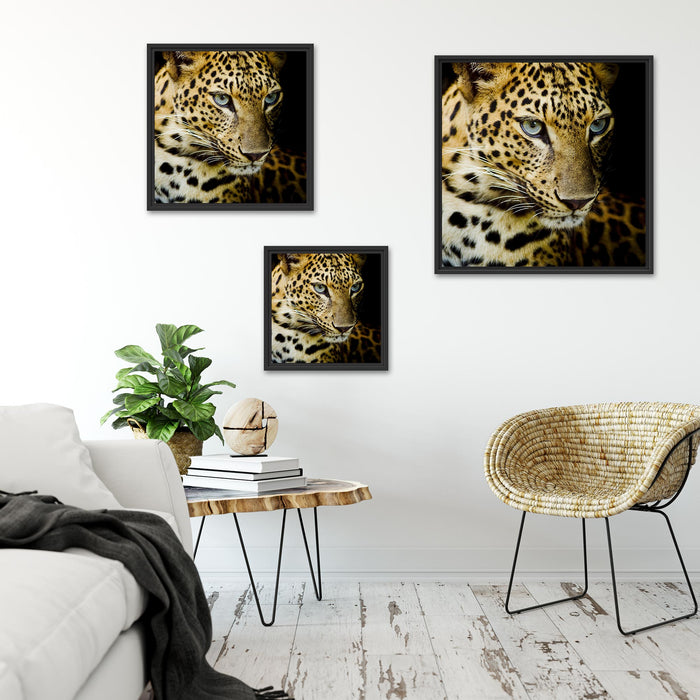 Leopard mit blauen Augen Quadratisch Schattenfugenrahmen Wohnzimmer