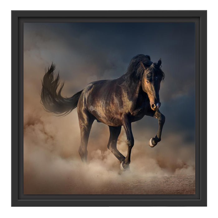 Schwarzes Pferd Schattenfugenrahmen Quadratisch 40x40