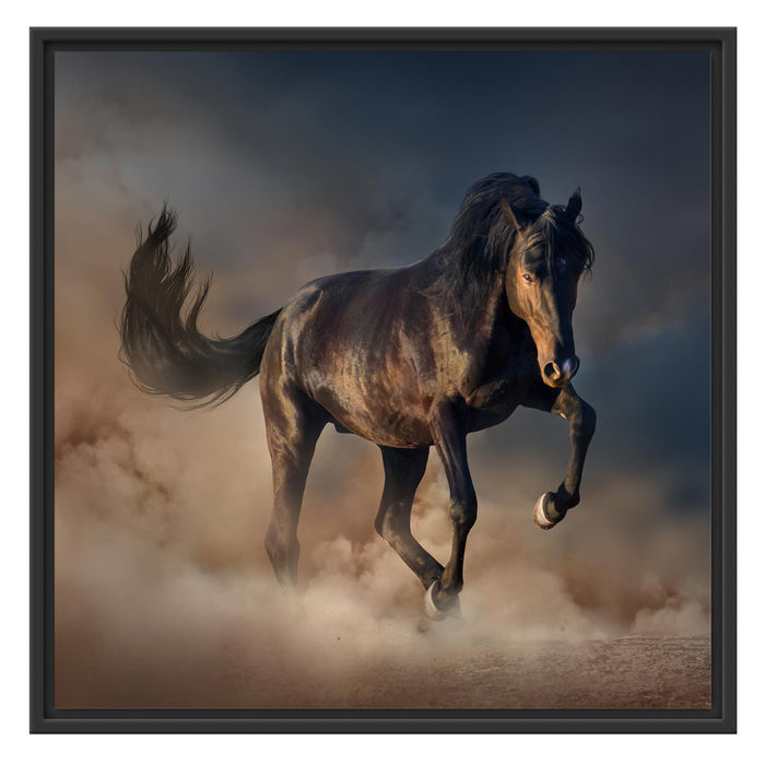 Schwarzes Pferd Schattenfugenrahmen Quadratisch 70x70