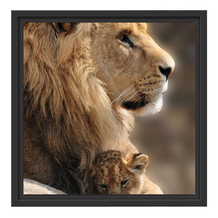 Löwe mit Löwenbaby Schattenfugenrahmen Quadratisch 40x40