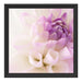 Traumhafte lila weiße Blüte Schattenfugenrahmen Quadratisch 40x40