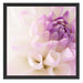 Traumhafte lila weiße Blüte Schattenfugenrahmen Quadratisch 55x55
