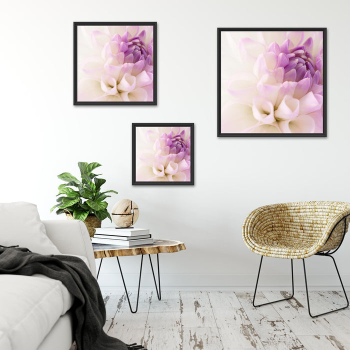 Traumhafte lila weiße Blüte Quadratisch Schattenfugenrahmen Wohnzimmer