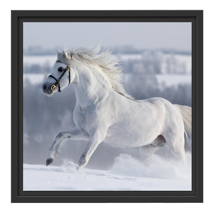 Weißes Pferd auf Schneewiese Schattenfugenrahmen Quadratisch 40x40
