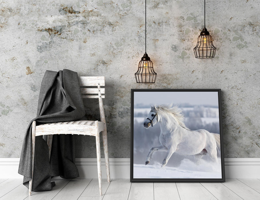 Weißes Pferd auf Schneewiese Quadratisch Schattenfugenrahmen Dekovorschlag