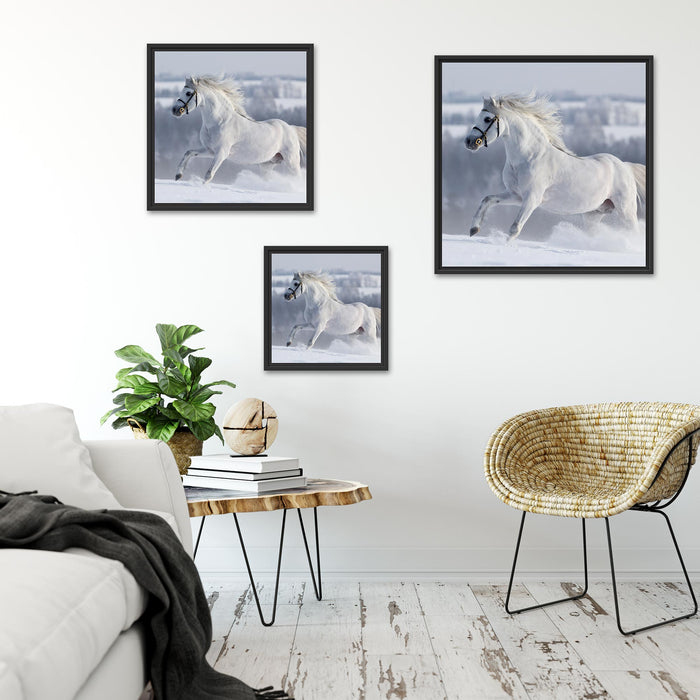 Weißes Pferd auf Schneewiese Quadratisch Schattenfugenrahmen Wohnzimmer