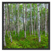 Birkenwald Schattenfugenrahmen Quadratisch 70x70